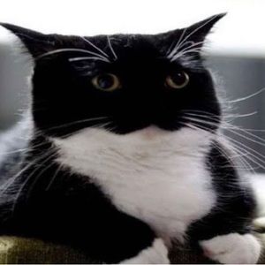 Meet your Posher, Dayana